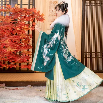Jaunu Hanfu Tērps Sievietēm Pieaugušo Ķīniešu Stilā Tradicionālo Apģērbu Ming Dynasty Ilgi Drēbes, Klasiskās Dejas Skatuves Tērpiem DQL6585
