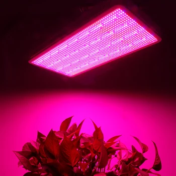 Pilna Spektra 1600W 1200W LED Augu Gaiši Sarkana, Zila UV IS LED Aug Lampas efektu Izraisošo Hidroponika Ziedi, Augi, Dārzeņi