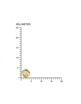 Auskari mazulis/meitene 18k zelta Donut vidēja cirkonija 2,5 mm