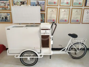 Elektriskā Ledusskapis Velosipēdu Feezer Pārtikas Tricikls Grozs Saldējumu Popsicle Kafijas Iesaldēt Pārtikas Tirdzniecība